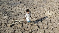 新疆伊犁河谷遭受23年来最严重旱灾 经济损失7亿元