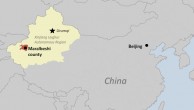 “新疆巴楚发生暴力袭击事件22人死”