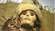 罗布泊地区发现3500年前做过开颅手术头骨