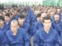 Elimination of “Uyghur Counter-Revolutionary Officials” in Academic Fields—Exact Quotes Translated from a Mandarin Audio File