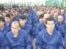 Elimination of “Uyghur Counter-Revolutionary Officials” in Academic Fields—Exact Quotes Translated from a Mandarin Audio File