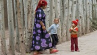 جاڭ چۈنشيەننىڭ «پىلانلىق تۇغۇتتا باراۋەرلىك» تەشەببۇسى تەنقىدكە ئۇچرىدى