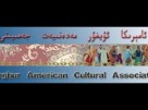 ئۇيغۇر ئانىلار تورى ۋە دىلدار ئەزىز