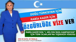 Rabia Vize